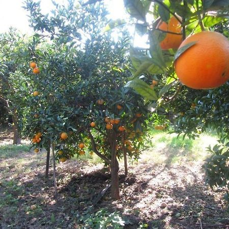 Come In Sicily La Pietra Monaca Διαμέρισμα Acireale Εξωτερικό φωτογραφία