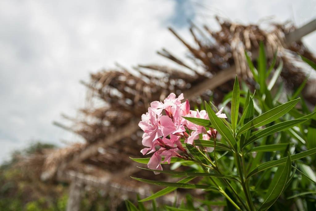 Come In Sicily La Pietra Monaca Διαμέρισμα Acireale Δωμάτιο φωτογραφία